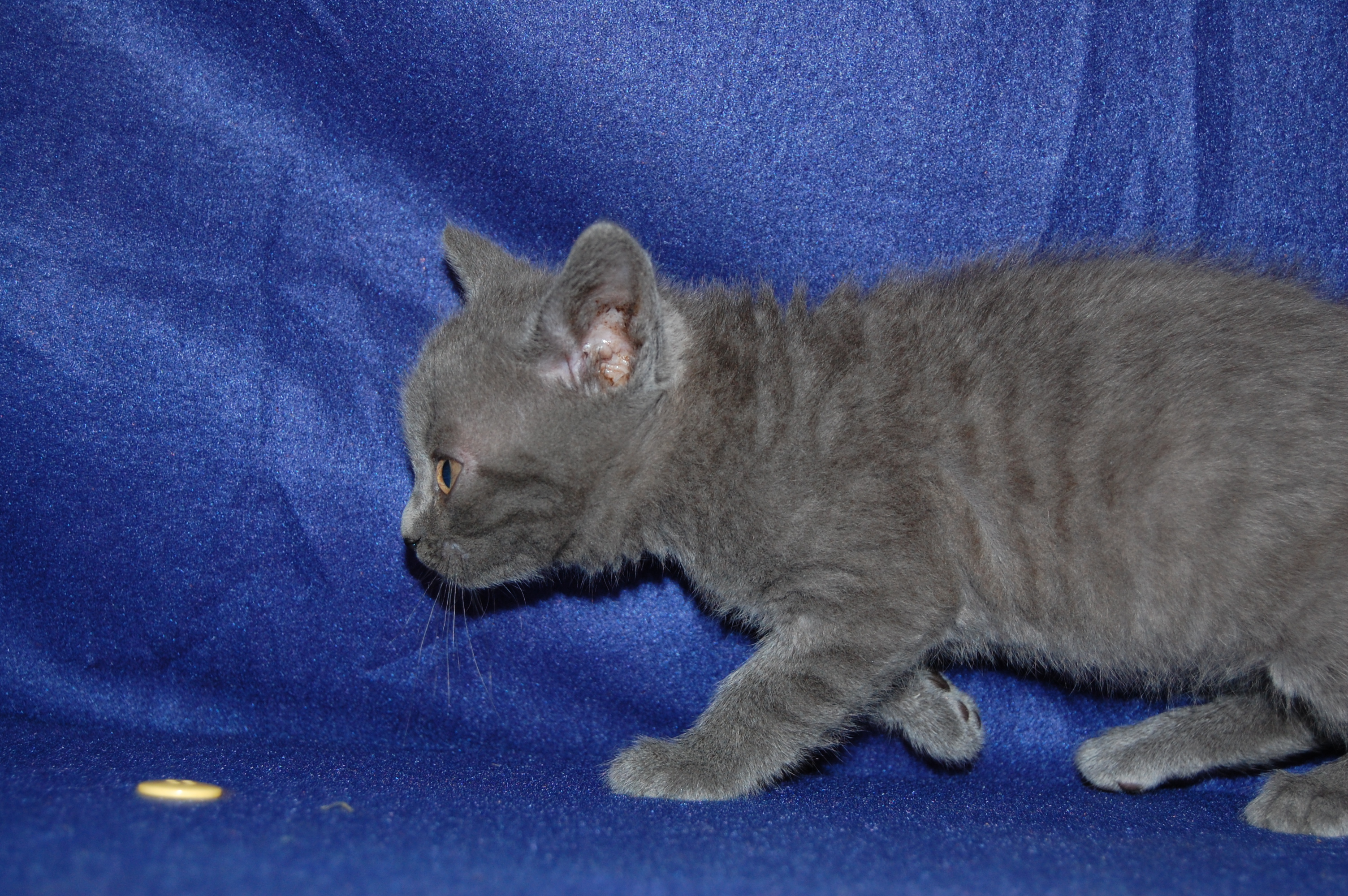 DSC_0109.JPG