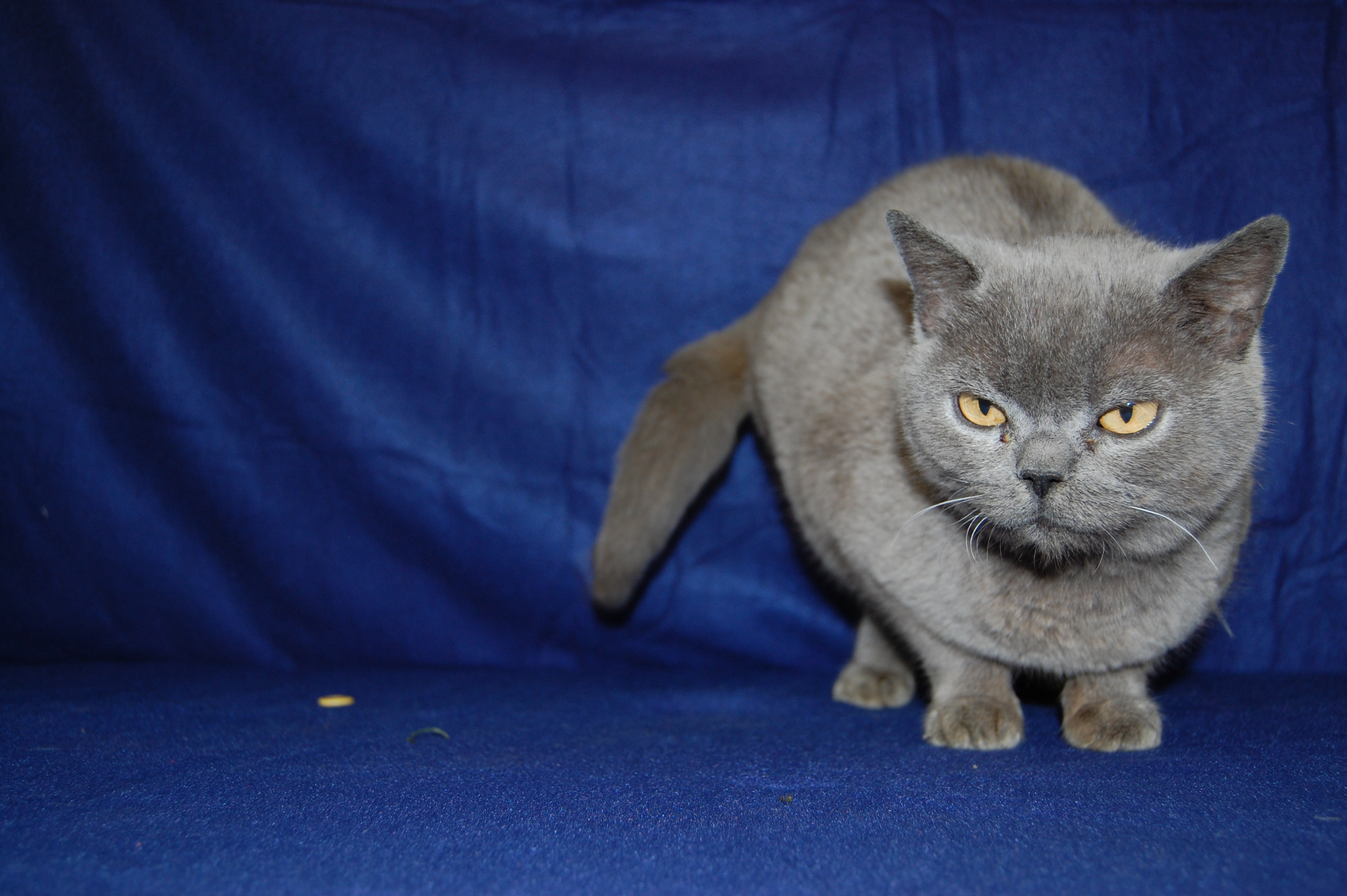 DSC_0153.JPG