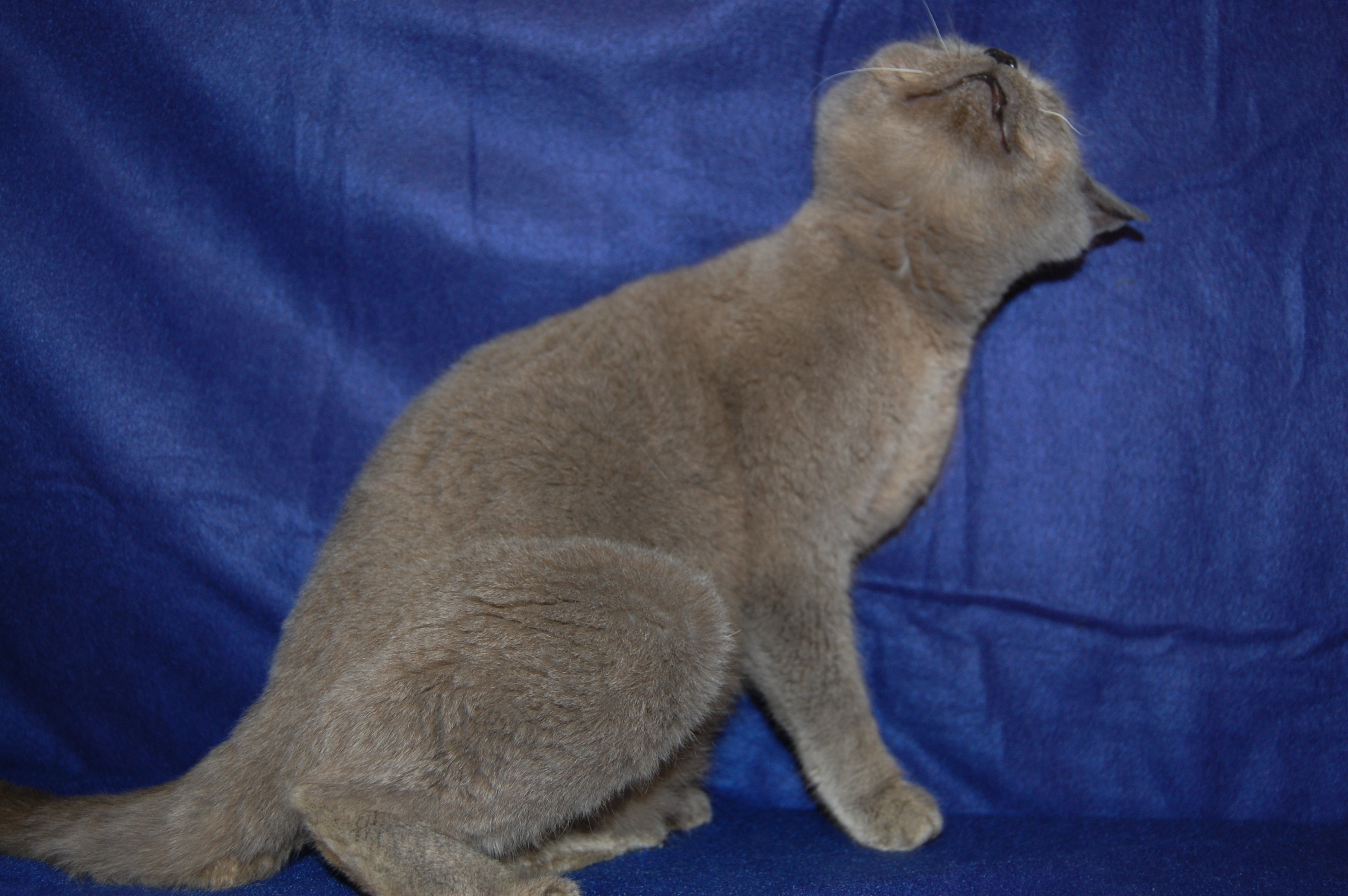 DSC_0157.JPG