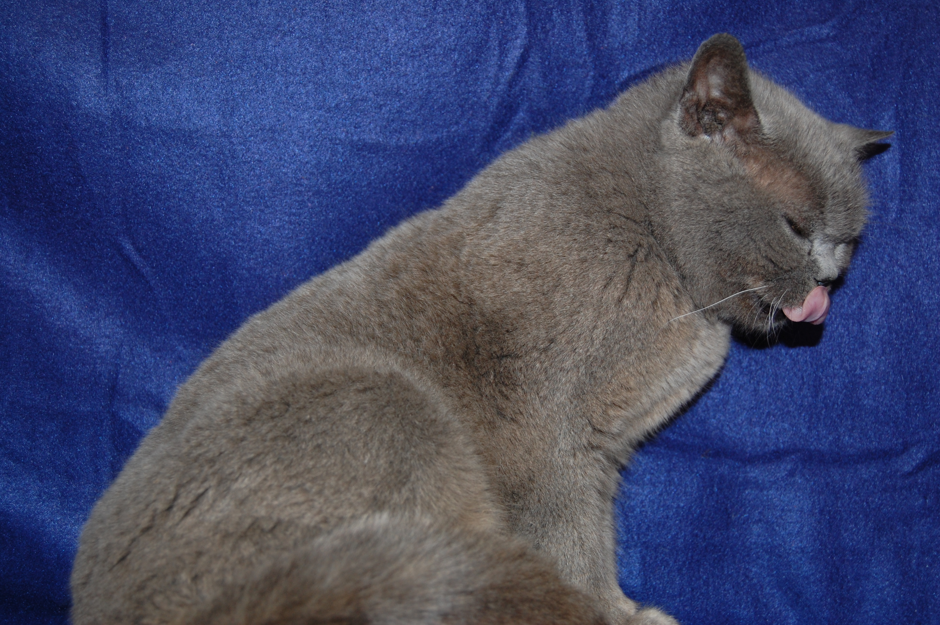 DSC_0160.JPG