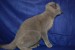 DSC_0157.JPG