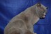 DSC_0160.JPG