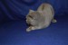 DSC_0175.JPG
